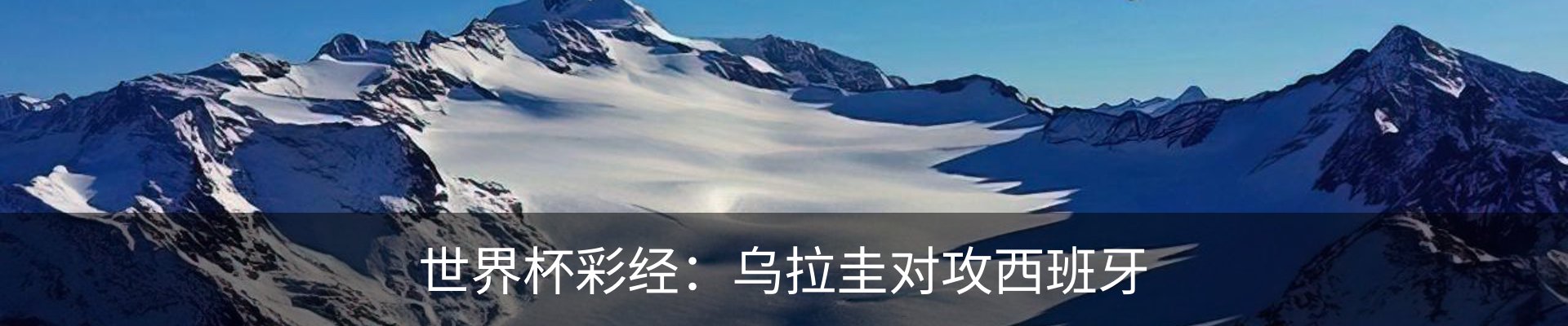 新闻动态