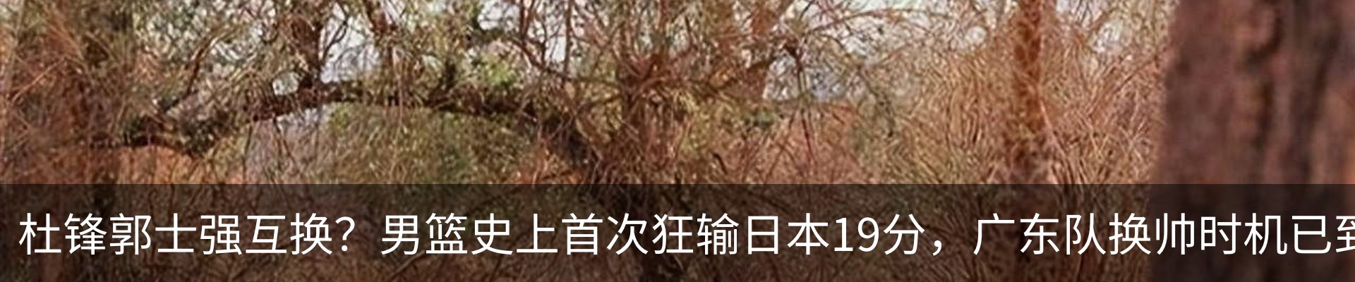新闻动态