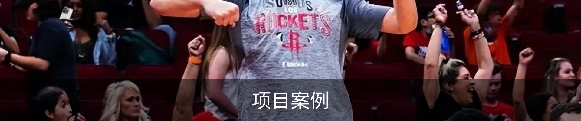 项目案例