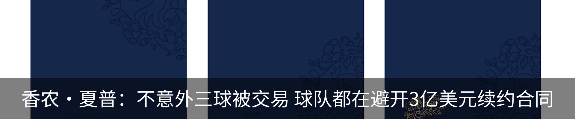 新闻动态